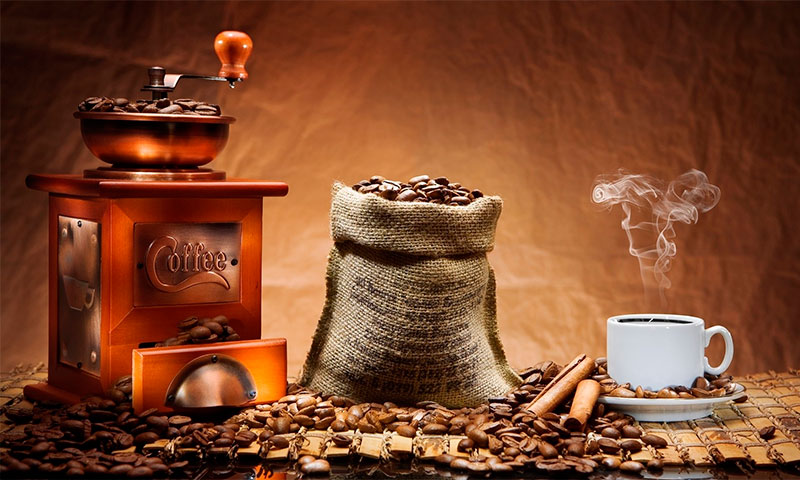 Как выбрать кофемолку для дома рейтинг лучших фирм-производителей