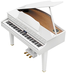 Roland GP607