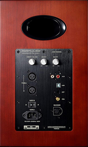 Edifier AirPulse A300