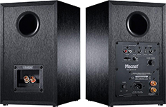 Magnat Multi Monitor 220
