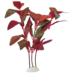 Ferplast Althernanthera Шелковое декоративное растение
