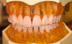 Miso Plus от HT Corporation