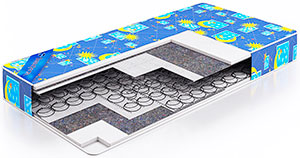 Nintendo Wii