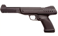 Gamo P-900