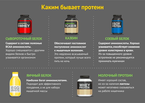 виды протеина