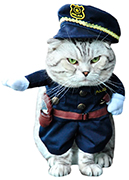 Костюм «Полицейский» для кота