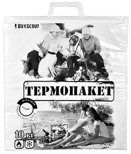 Термопакет BoyScout, 42х45см (61435)