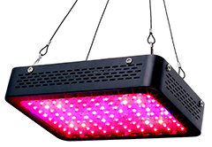 Elaine LED Grow Light