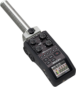 Zoom H6