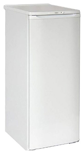 Бирюса 111 – полноразмерный холодильник для дачи