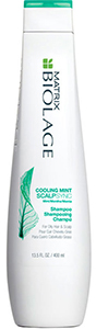 Matrix Biolage Scalpsync Shampoo