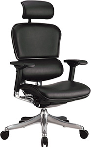 Comfort Seating Ergohuman Plus Lux