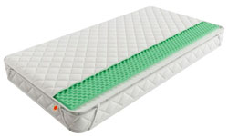 Citrus Меморикс-4