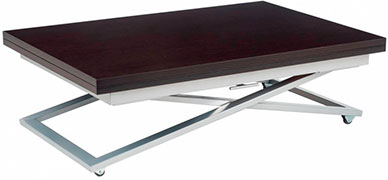 Nintendo Wii