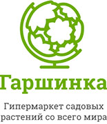 Гаршинка