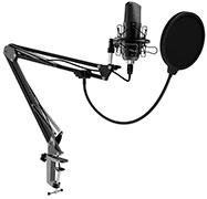 Ritmix RDM-169