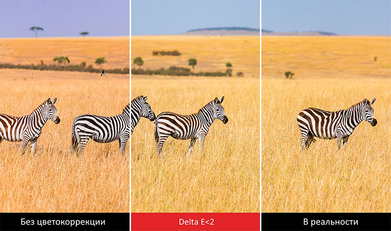 цветопередача