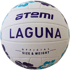 самая лучшая фирма волейбольных мячей