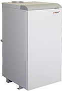 Nintendo Wii
