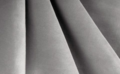 Шиншилла ИН