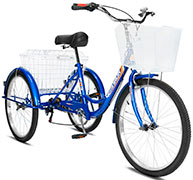 РВЗ Чемпион 24