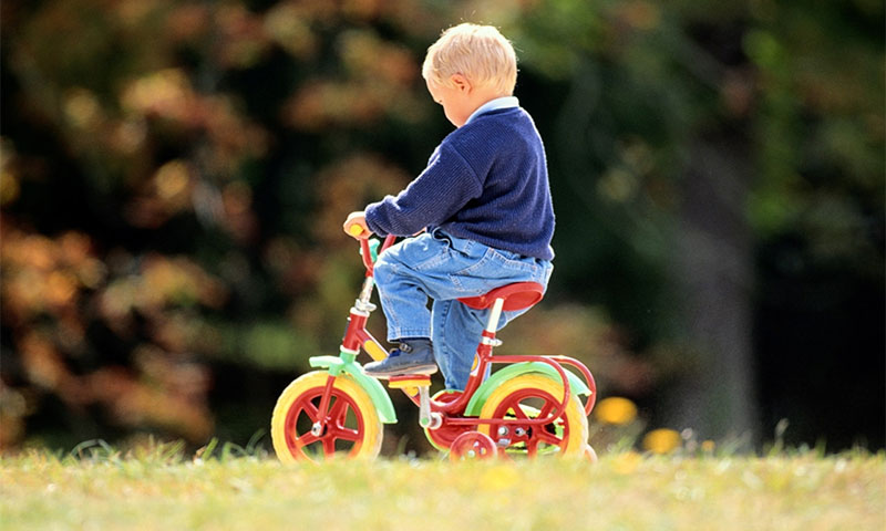 5 лучших детских трехколесных велосипедов - Рейтинг 2019 (топ 5)