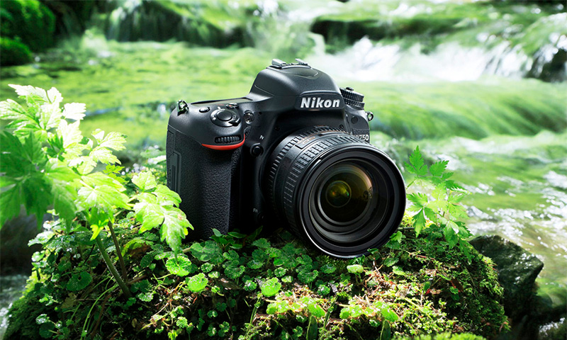 7 лучших объективов для фотокамер Nikon - Рейтинг 2019 (топ 7)